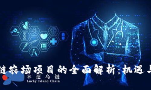 区块链农场项目的全面解析：机遇与挑战