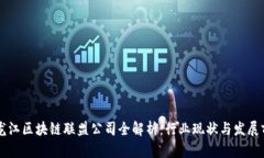 黑龙江区块链联盟公司全解析：行业现状与发展