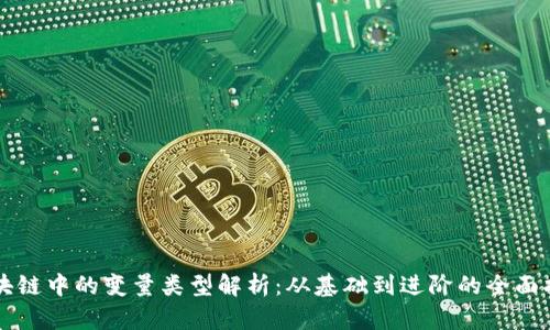 区块链中的变量类型解析：从基础到进阶的全面指南