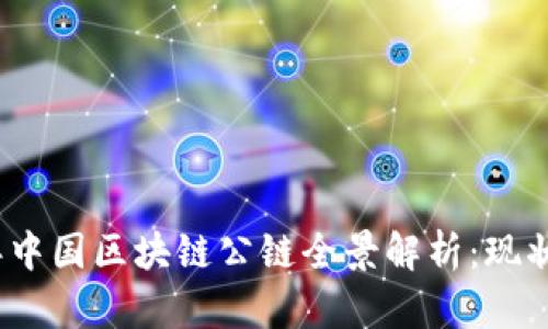 2023年中国区块链公链全景解析：现状与趋势