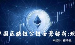 2023年中国区块链公链全景解析：现状与趋势
