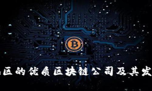 海南地区的优质区块链公司及其发展分析