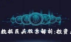 区块链数据巨头股票解析：投资者必看！