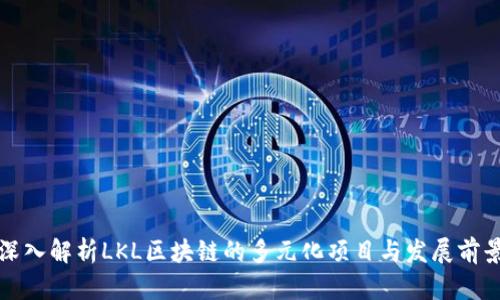 深入解析LKL区块链的多元化项目与发展前景