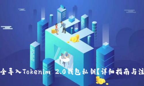 如何安全导入Tokenim 2.0钱包私钥？详细指南与注意事项