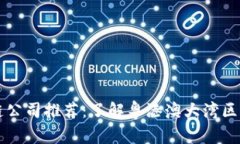 广州区块链公司推荐：了解粤港澳大湾区的创新
