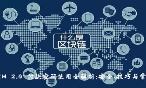 整合  
TokenIM 2.0 付款密码使用全解析：安全、技巧与常见问题
