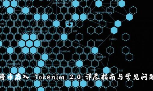 如何将币存入 Tokenim 2.0：详尽指南与常见问题解析