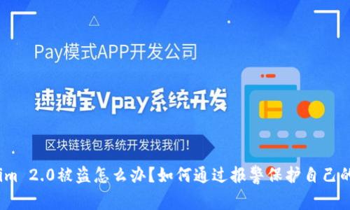 Tokenim 2.0被盗怎么办？如何通过报警保护自己的资产？