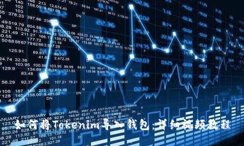 如何将Tokenim导入钱包：详细视频教程