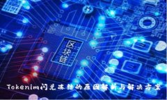 Tokenim闪兑冻结的原因解析与解决方案