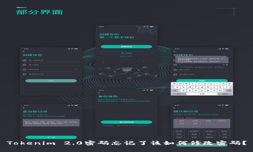 Tokenim 2.0密码忘记了该如何修改密码？