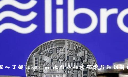 深入了解Tokenim：比特币的密码学与私钥解析