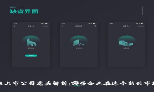 2023年区块链上市公司龙头解析：哪些企业在这个新兴市场中脱颖而出？