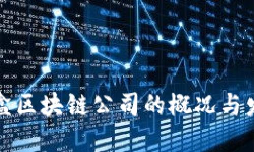 杭州沙盒区块链公司的概况与发展前景