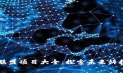 青海区块链联盟项目大全：探索未来科技的无限