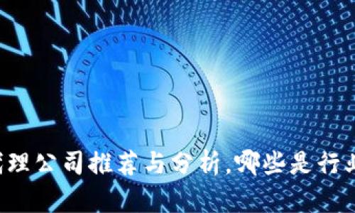 区块链代理公司推荐与分析，哪些是行业领先者？