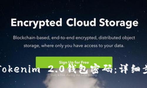 如何找回Tokenim 2.0钱包密码：详细步骤与指南