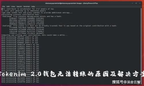 Tokenim 2.0钱包无法转账的原因及解决方案