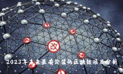 2023年未来最有价值的区块链项目分析