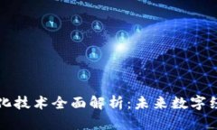 区块链净化技术全面解析：未来数字经济的基石