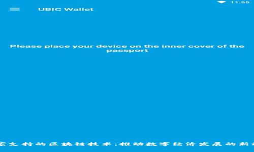 国家支持的区块链技术：推动数字经济发展的新动力