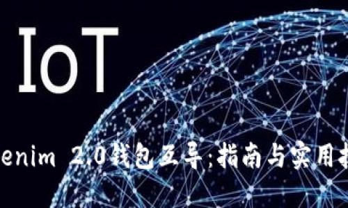 Tokenim 2.0钱包互导：指南与实用技巧