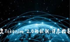 如何有效恢复Tokenim 2.0的私钥：详尽指导及注意事