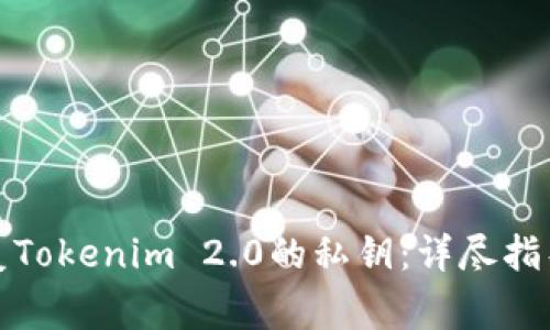 如何有效恢复Tokenim 2.0的私钥：详尽指导及注意事项