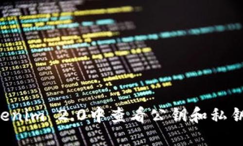 如何在Tokenim 2.0中查看公钥和私钥：完整指南