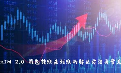 TokenIM 2.0 钱包转账未到账的解决方法与常见问题