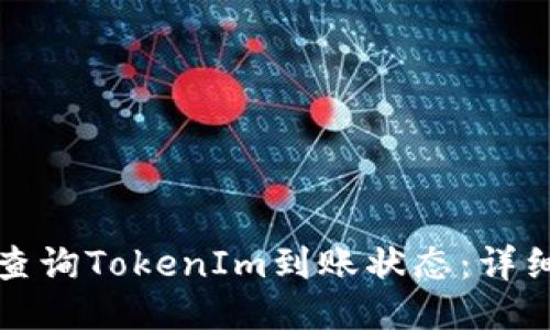 如何查询TokenIm到账状态：详细指南