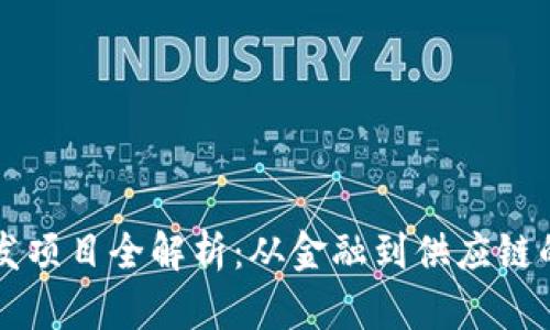 区块链开发项目全解析：从金融到供应链的应用前景