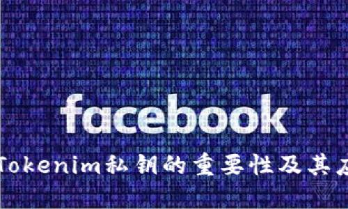 ### Tokenim私钥的重要性及其应用详解