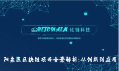阳泉区区块链项目全景解析：从创新到应用