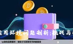 区块链应用环境问题剖析：挑战与解决方案