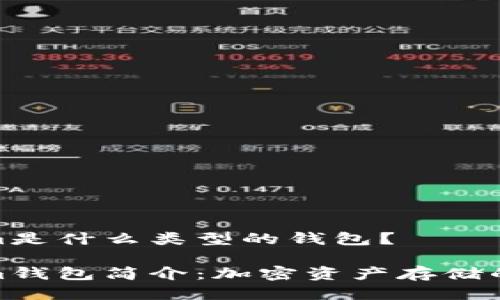 Tokenim是什么类型的钱包？

Tokenim钱包简介：加密资产存储的新选择