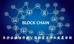 长沙区块链开发公司推荐与行业发展分析