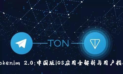 Tokenim 2.0：中国版iOS应用全解析与用户指南