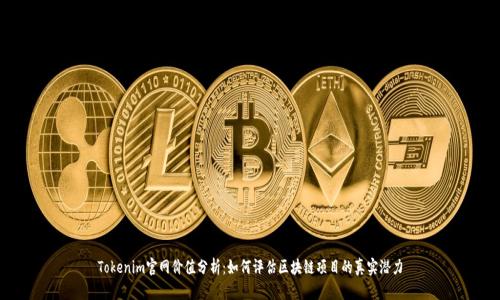 Tokenim官网价值分析：如何评估区块链项目的真实潜力