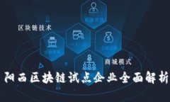 阳西区块链试点企业全面解析