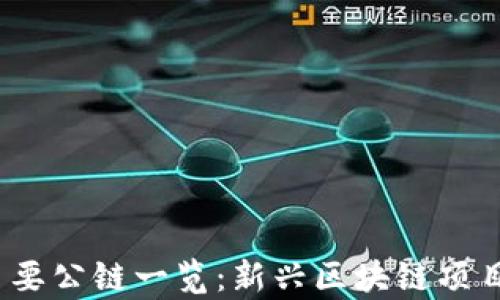 
2023年国内主要公链一览：新兴区块链项目及其应用前景