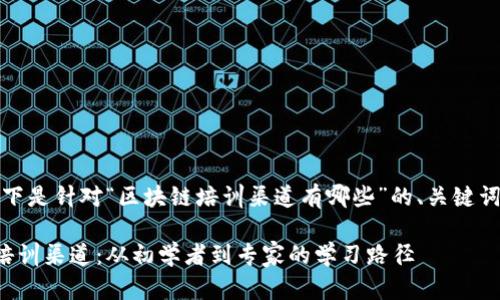 当然可以！以下是针对“区块链培训渠道有哪些”的、关键词和内容大纲。

揭秘区块链培训渠道：从初学者到专家的学习路径