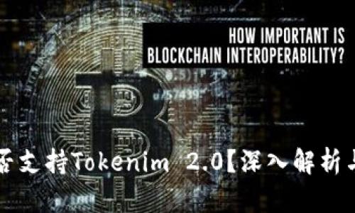 比特币能否支持Tokenim 2.0？深入解析与前景展望