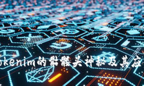 破解Tokenim的骷髅头神秘及其应用前景