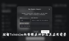 破解Tokenim的骷髅头神秘及其应用前景
