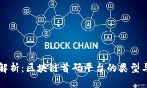 全面解析：区块链首码平台的类型与应用