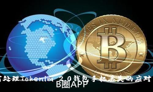 如何处理Tokenim 2.0钱包手机丢失的应对策略