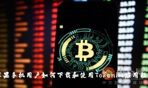 苹果手机用户如何下载和使用Tokenim应用程序
