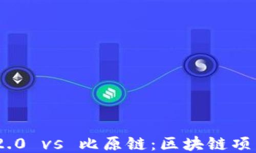 
  Tokenim 2.0 vs 比原链：区块链项目的全面比较